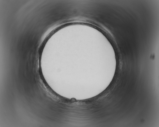 X0000116461368201001061029