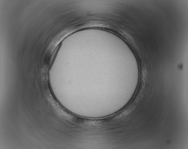 X0000116461369201001061029