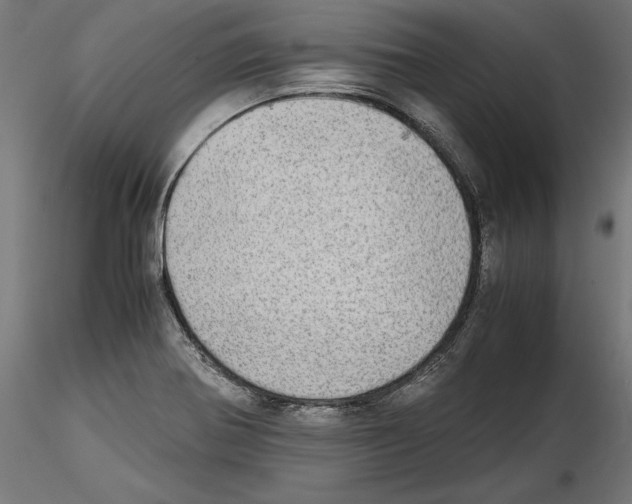 X0000116461370201001061029