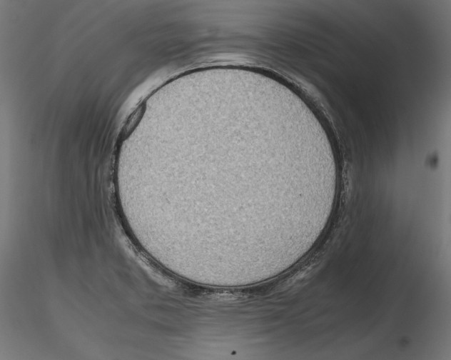X0000116461373201001061029