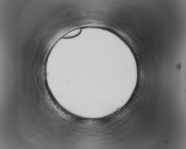 X0000116461375201001061029