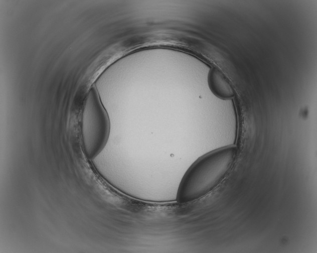 X0000116461377201001061029