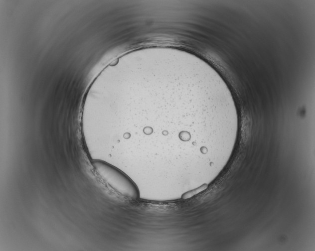 X0000116461378201001061029