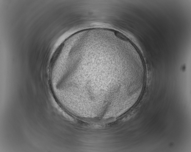 X0000116461381201001061029