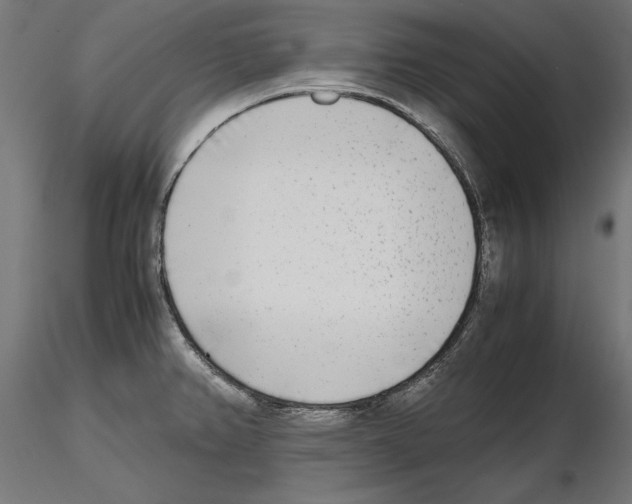 X0000116461382201001061029