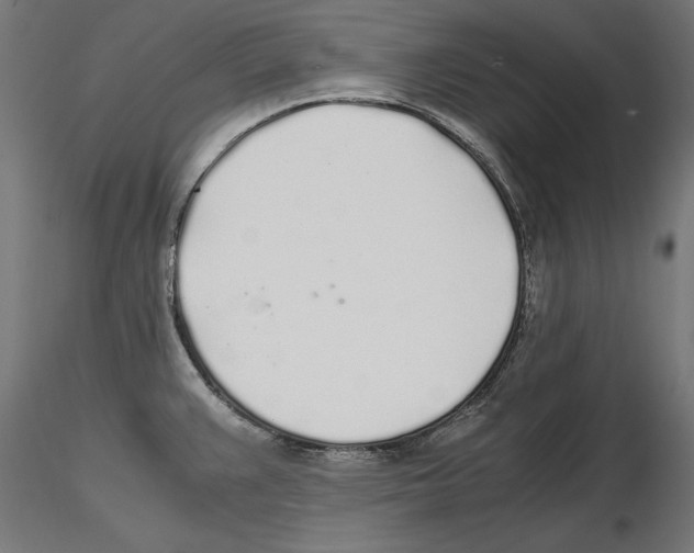 X0000116461383201001061029