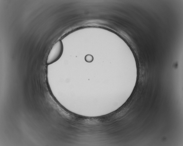 X0000116461384201001061029