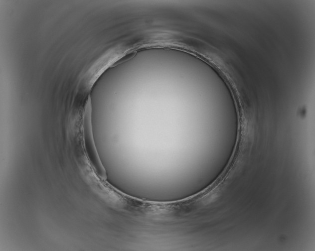 X0000116461385201001061029