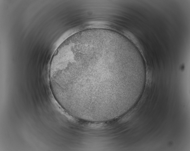 X0000116461386201001061029