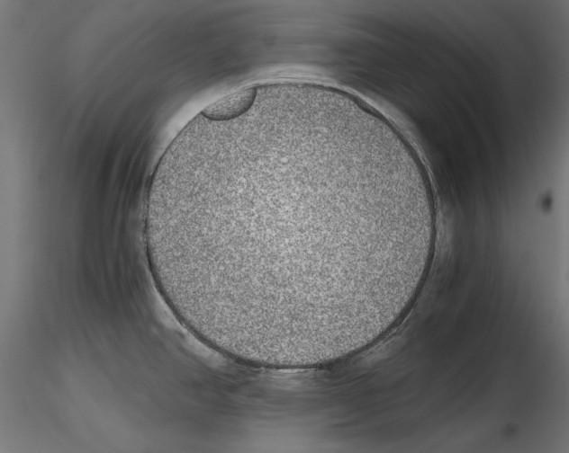 X0000116461390201001061029