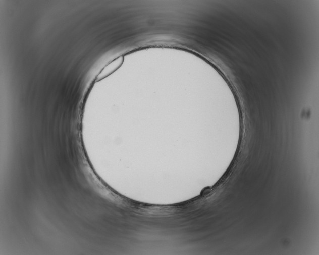 X0000116461392201001061029