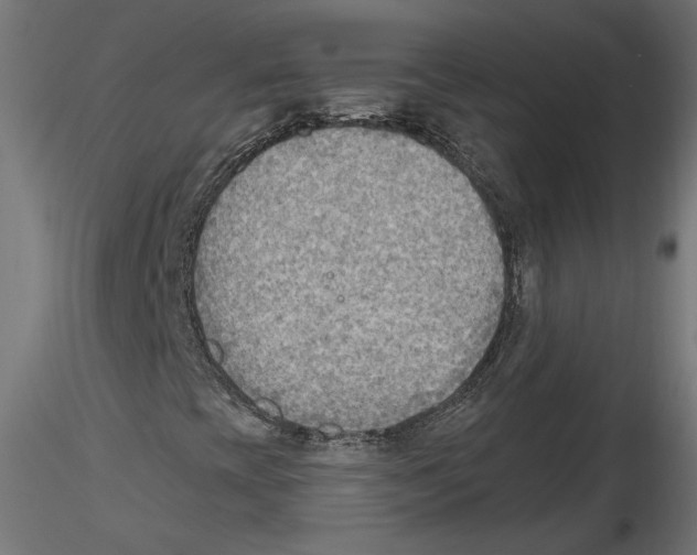 X0000116461393201001061028