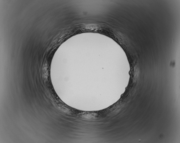 X0000116461394201001061028