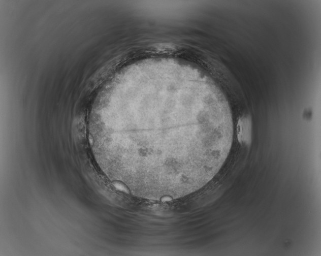 X0000116461395201001061028