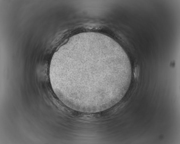 X0000116461396201001061028