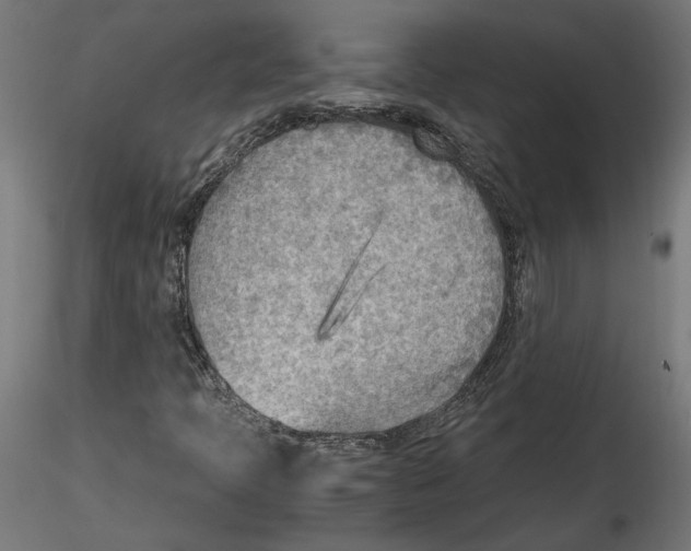 X0000116461397201001061028