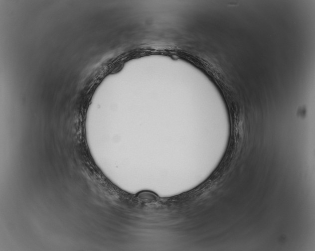 X0000116461398201001061028
