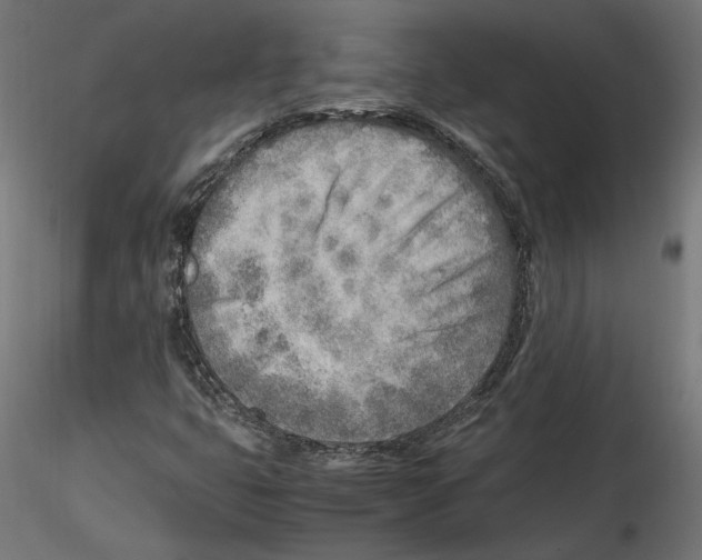 X0000116461399201001061028