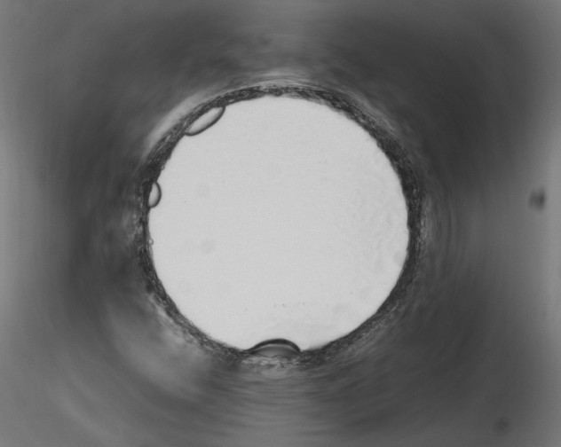 X0000116461400201001061028