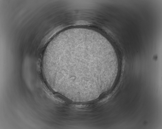 X0000116461401201001061028