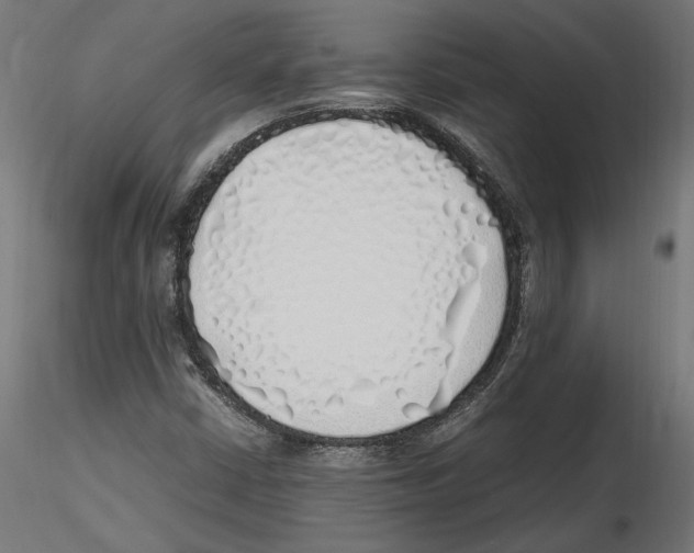 X0000116461402201001061028