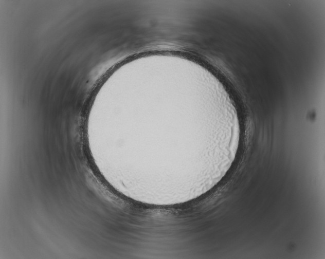 X0000116461404201001061028