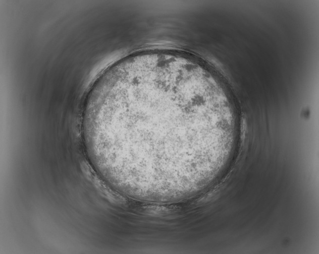 X0000116461405201001061028