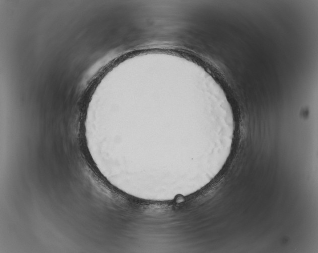 X0000116461406201001061028