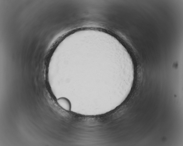 X0000116461408201001061028