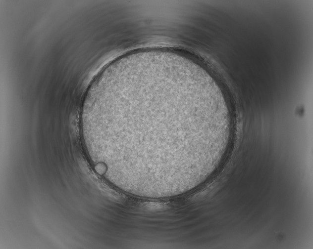 X0000116461409201001061028