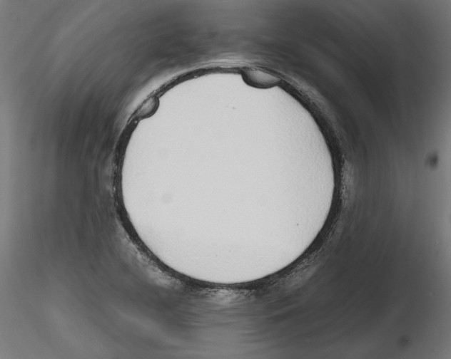 X0000116461412201001061029