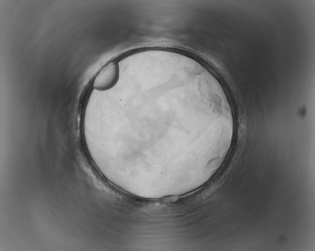X0000116461414201001061029