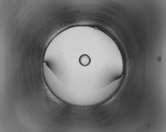 X0000116461417201001061029