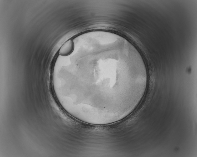 X0000116461418201001061029
