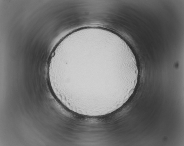 X0000116461420201001061029