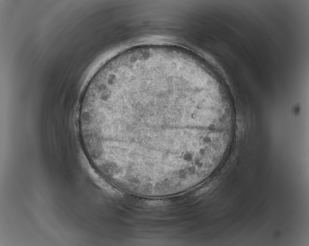 X0000116461421201001061029