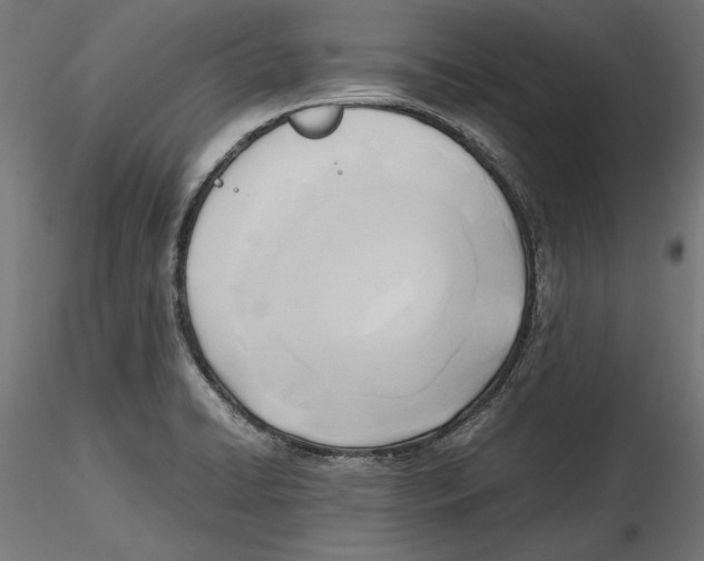 X0000116461422201001061029