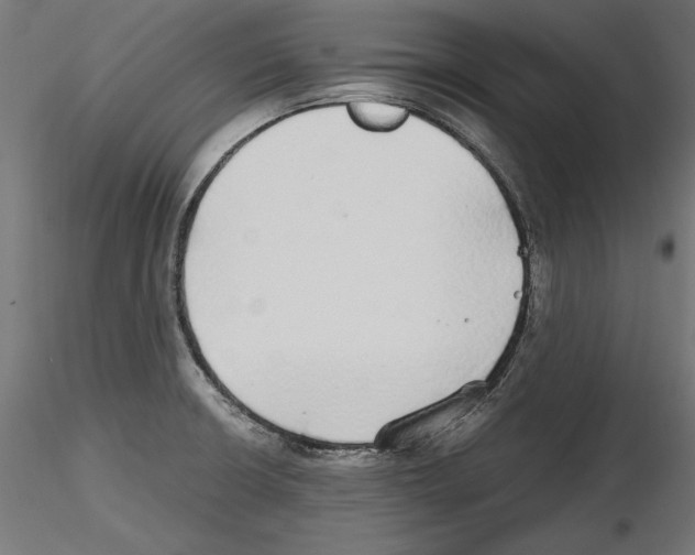 X0000116461426201001061029