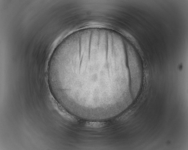 X0000116461427201001061029