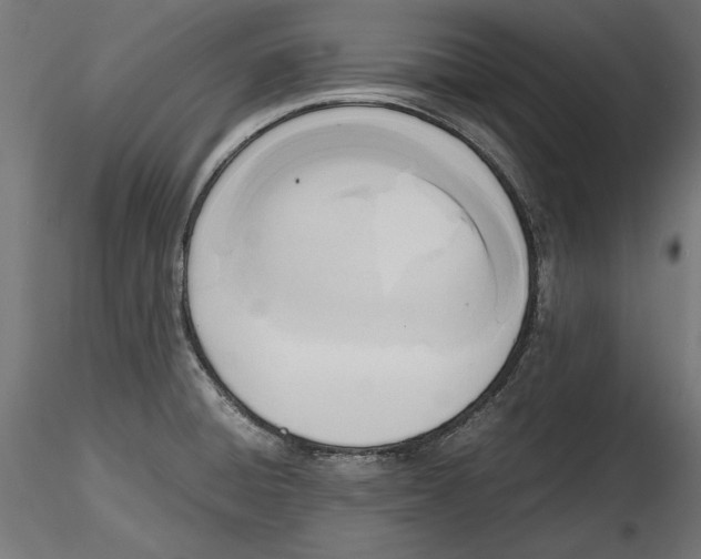 X0000116461428201001061029