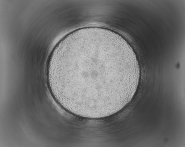 X0000116461430201001061029