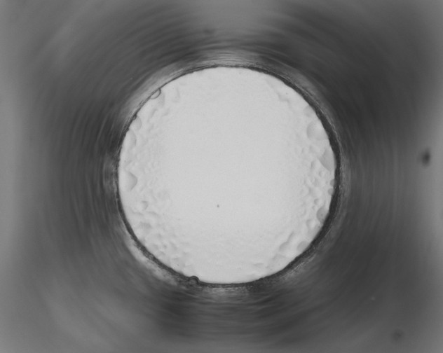 X0000116461433201001061029