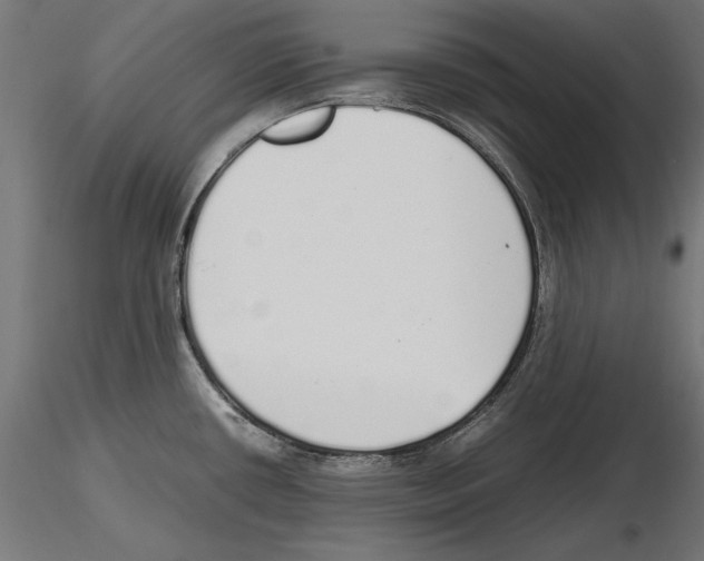X0000116461434201001061029