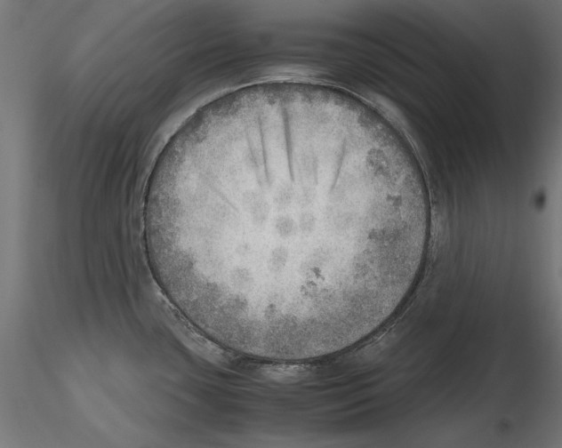X0000116461435201001061029