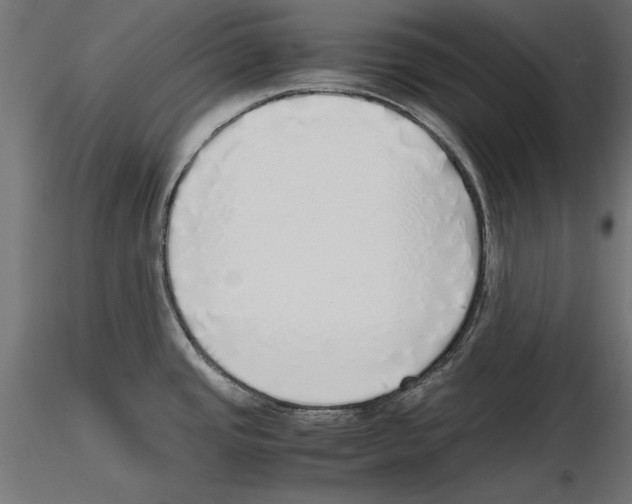 X0000116461437201001061029