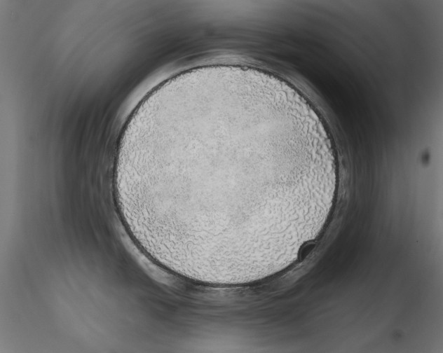 X0000116461438201001061029