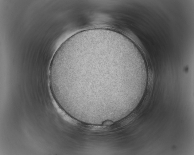 X0000116461439201001061029