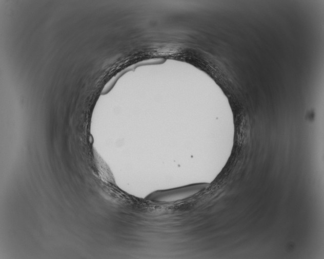 X0000116461441201001061028