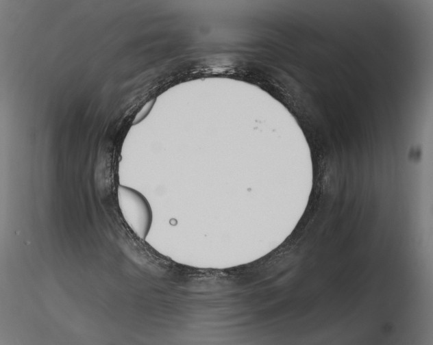 X0000116461442201001061028