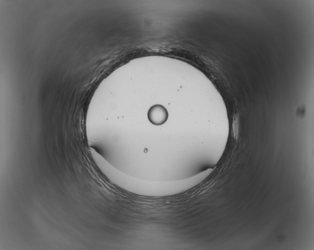 X0000116461444201001061028